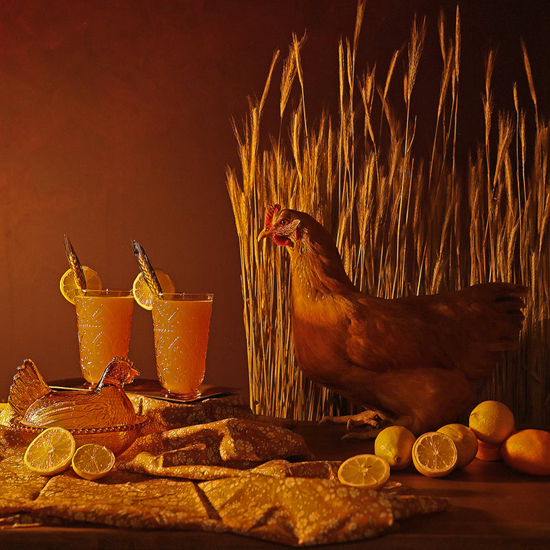 2024 Still Life with Chicken and Drink Calendar Drinking with Chickens