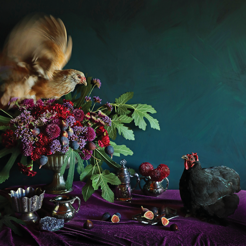 2026 Wall Calendar Chickens are Why We Can't Have Nice Things