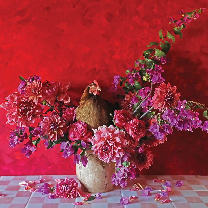Chicken sitting among pink and purple flowers on a checkered tablecloth with a red background