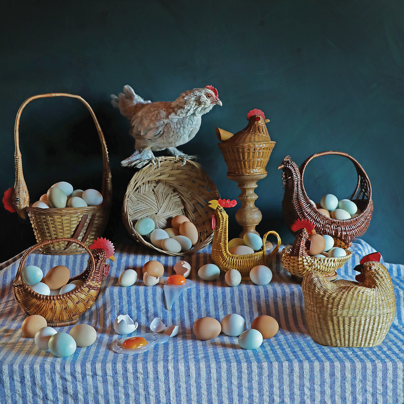 2026 Wall Calendar Chickens are Why We Can't Have Nice Things